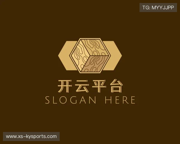 解读开云体育官网地址